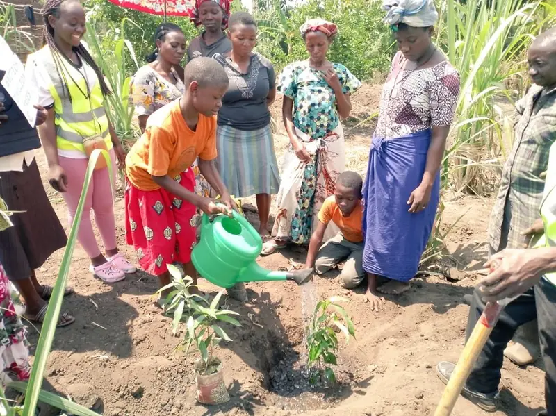 Women plant and water seedlings at a community tree-planting site