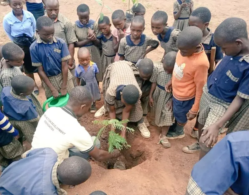 Children crowd around as a seedling is planted in a schoolyard