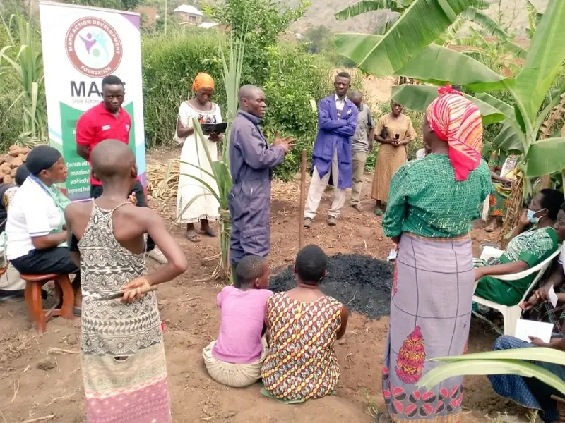 Farmers gather among banana plants for a field demonstration