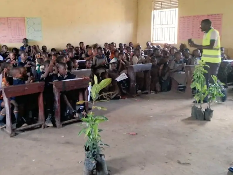 Pupils seated in a classroom while seedlings stand ready at the front
