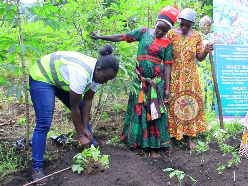 A volunteer plants a seedling beside women at the Compassion in Action project site