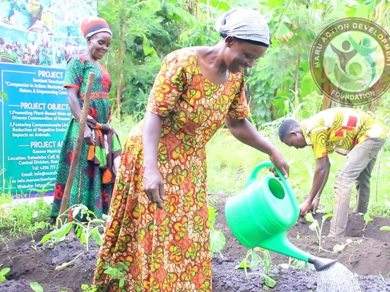 A woman waters a newly planted seedling during the Compassion in Action project