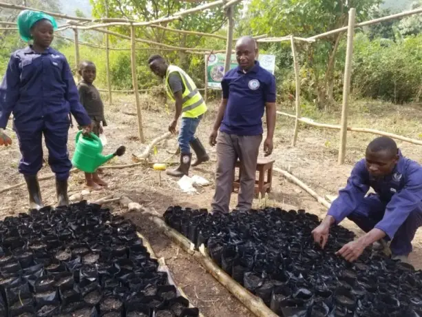 Volunteers tend seedlings in a shaded tree nursery