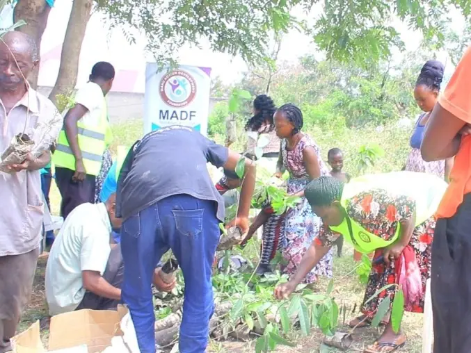 Community members plant seedlings together in a garden