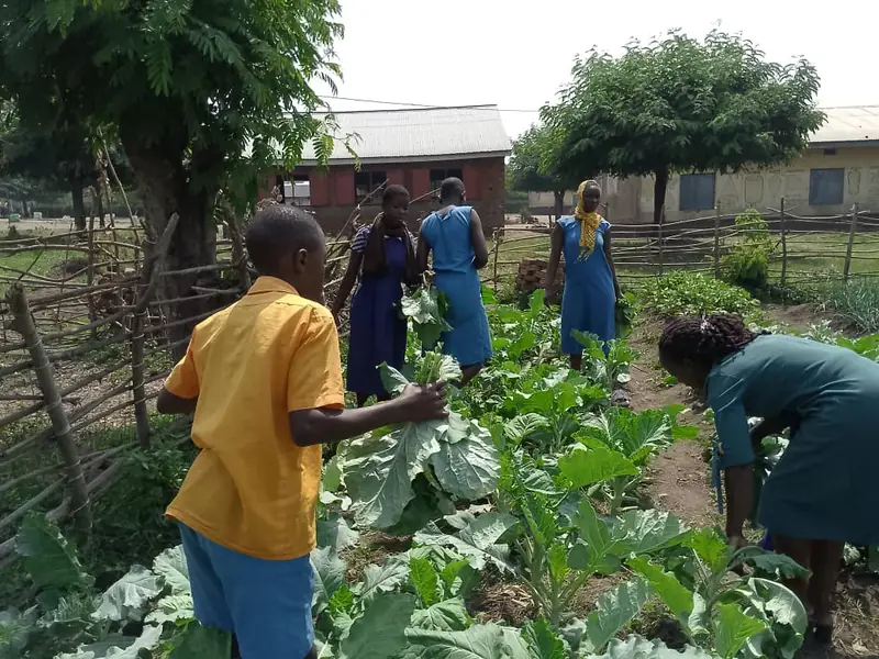 A boy and adults tend a vegetable garden at a school