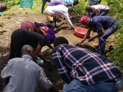 Farmers bend over a prepared bed to sow seeds together