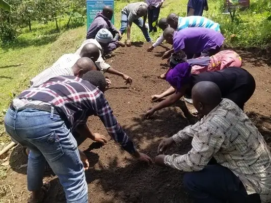 Men and women sow seeds in a freshly dug garden bed