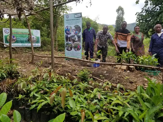 Participants stand around a tree and vegetable nursery bed
