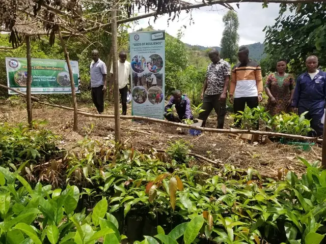 Rows of young seedlings in a nursery with participants in the background