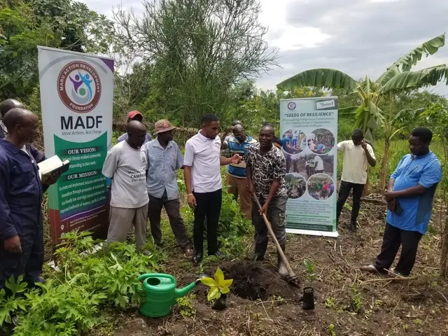 Participants gather around a planting hole beside project banners
