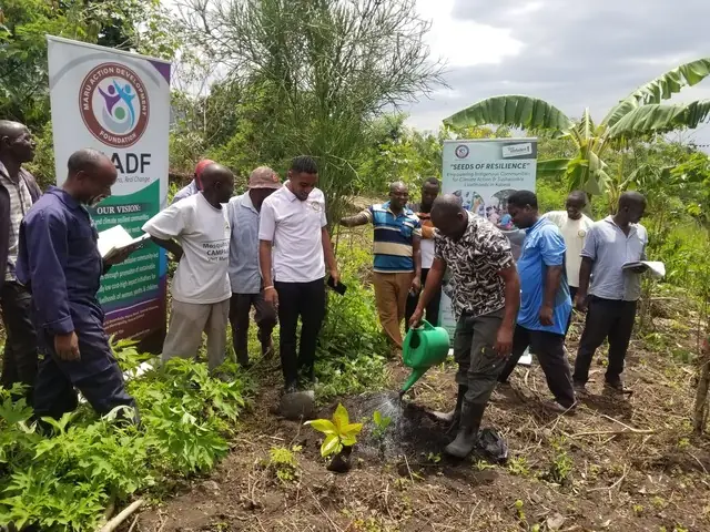 A man waters a seedling while participants watch