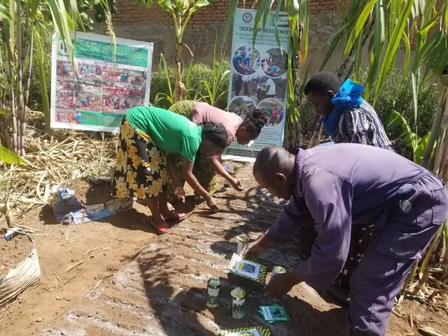 Participants kneel to plant seedlings in a garden bed