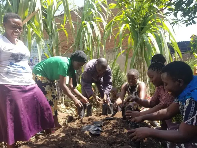 Women plant seedlings together in a garden