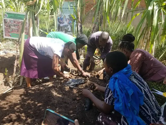 Participants work the soil to plant vegetable seedlings