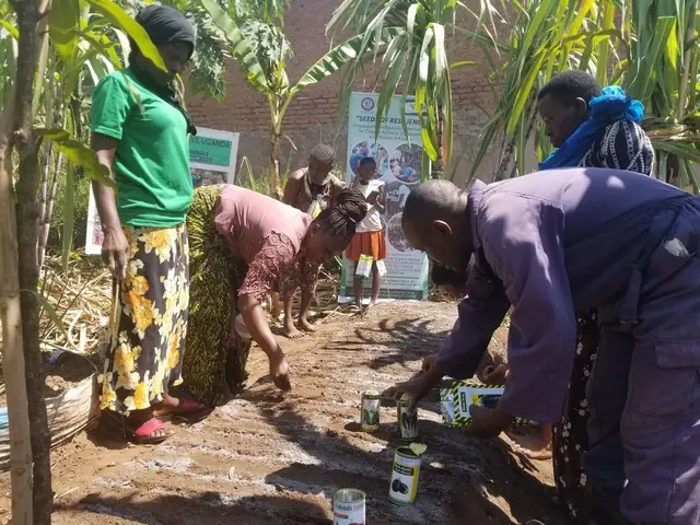 A man and a woman plant seedlings in a home garden